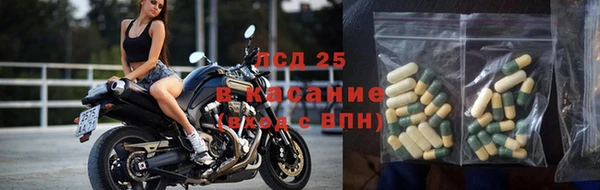 шишки Волосово