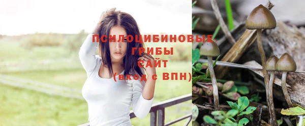 гашиш Володарск