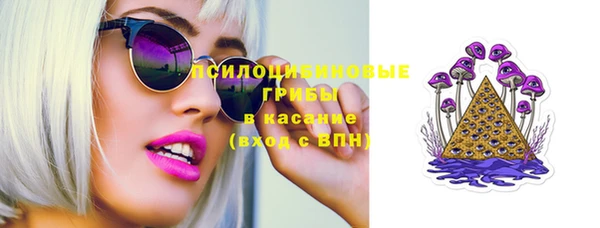 шишки Волосово