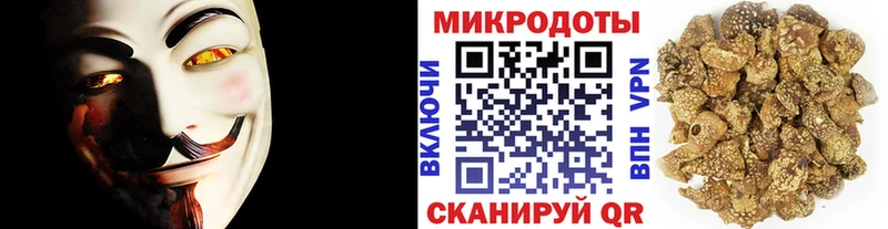 Галлюциногенные грибы Psilocybine cubensis  Льгов 